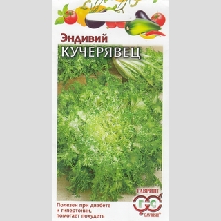 Эндивий Кучерявец