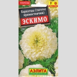 Бархатцы Эскимо