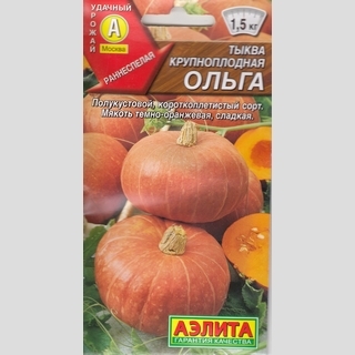 Тыква Ольга