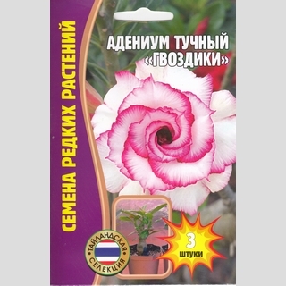 Адениум Гвоздики (тучный) (большой пакет)