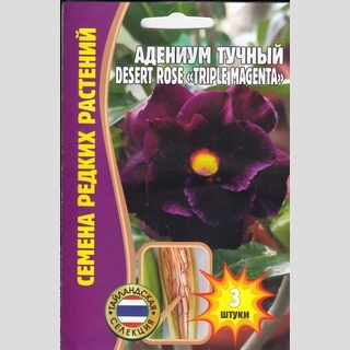 Адениум Triple Magenta (тучный) (большой пакет)