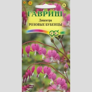 Дицентра Розовые бубенцы великолепная