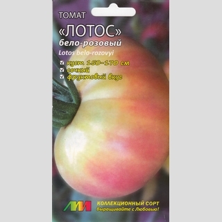 Томат Лотос Бело-розовый