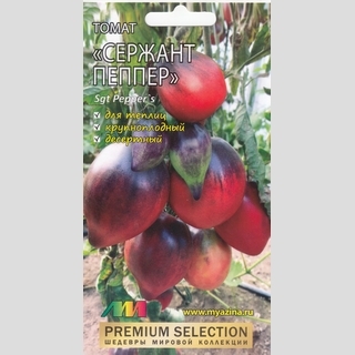 Томат Сержант Пеппер (Sgt Pepper`s)