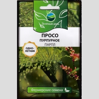 Просо Парпл пурпурное (большой пакет)