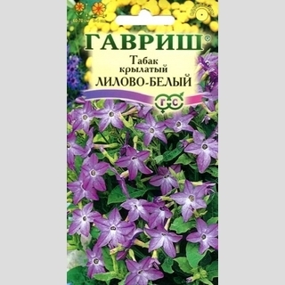 Табак Лилово-белый душистый