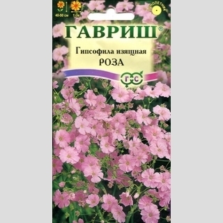 Гипсофила Роза изящная