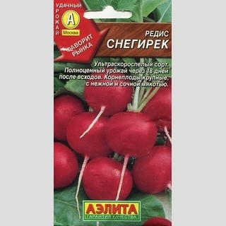 Редис Снегирек