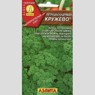 Петрушка Кружево (кудрявая)