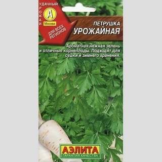 Петрушка Урожайная (корневая)