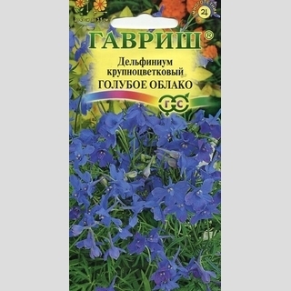 Дельфиниум Голубое облако