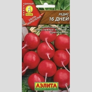 Редис 16 дней