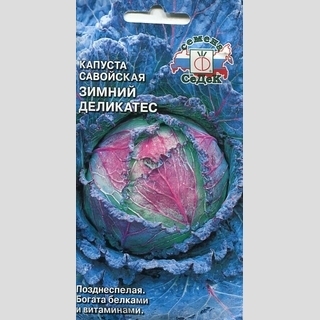 Капуста Зимний Деликатес савойская