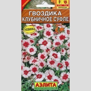 Гвоздика Клубничное суфле (китайская)