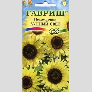 Подсолнечник Лунный свет