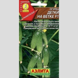 Огурец Детки на ветке F1