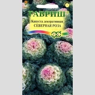 Капуста Северная роза декоративная
