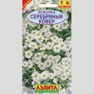 Ясколка Серебряный ковер