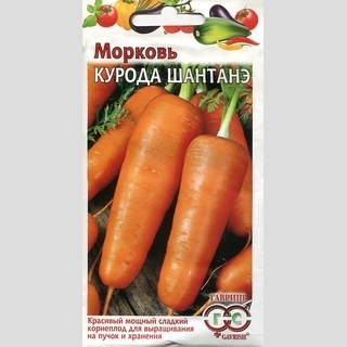 Морковь Курода Шантанэ