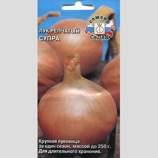 Лук Супра репчатый
