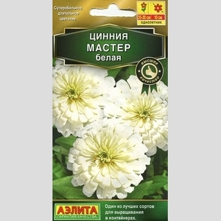 Цинния Мастер Белая