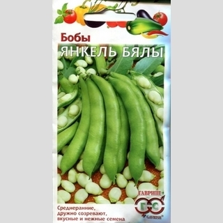 Бобы Янкель Бялы