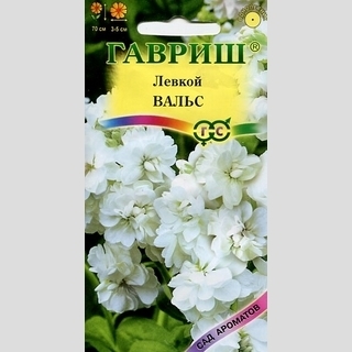 Левкой Вальс