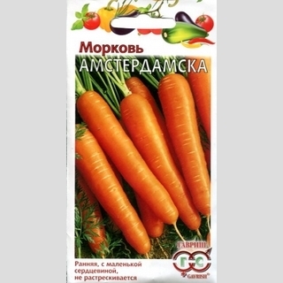 Морковь Амстердамска