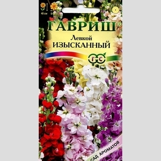 Левкой Изысканная смесь