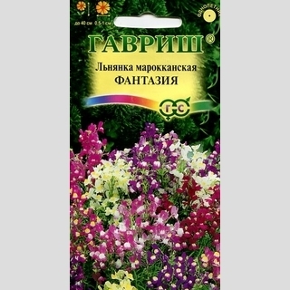 Льнянка Фантазия марроканская