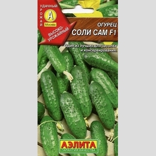 Огурец Соли Сам F1