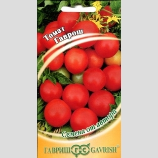 Томат Гаврош