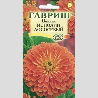 Цинния Исполин лососевый