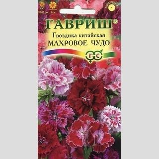 Гвоздика Махровое чудо смесь (китайская)