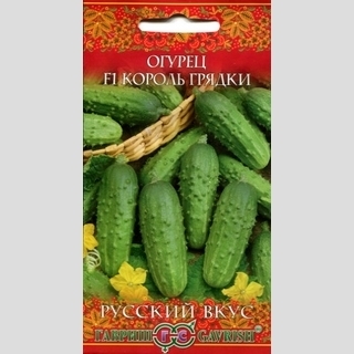 Огурец Король грядки F1