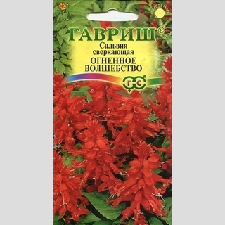 Сальвия Огненное волшебство (шалфей)