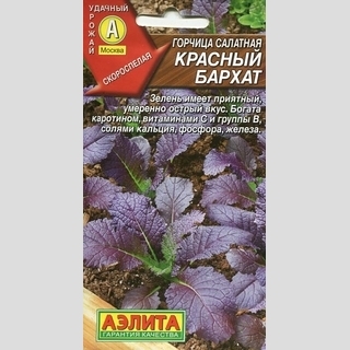 Горчица Красный бархат (салатная)