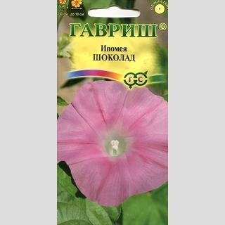 Ипомея Шоколад