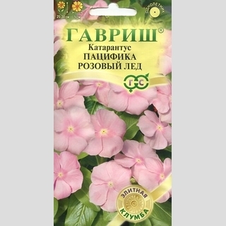 Катарантус Пацифика Розовый лед