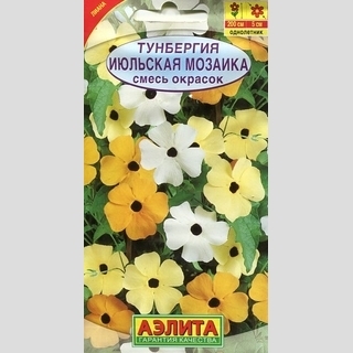 Тунбергия Июльская мозаика, смесь