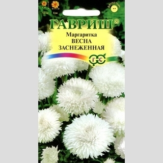 Маргаритка Весна заснеженная