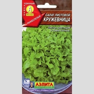 Салат Кружевница (листовой)