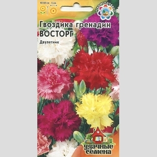 Гвоздика Восторг смесь (гренадин)