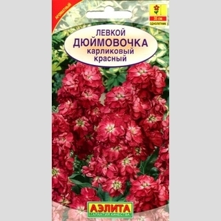 Левкой Дюймовочка Красный