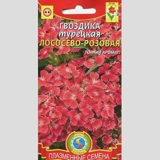 Гвоздика Лососево-розовая (турецкая)