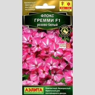 Флокс Гремми F1 розово-белый