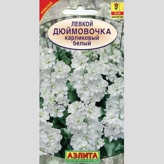 Левкой Дюймовочка Белый