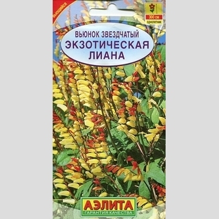 Вьюнок Экзотическая лиана звездчатый