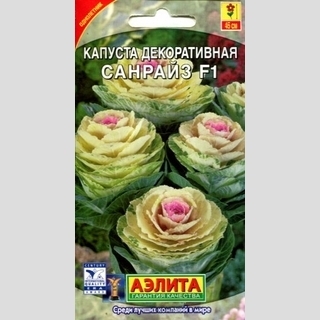 Капуста Санрайз F1 (декоративная)