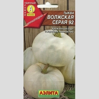 Тыква Волжская серая 92